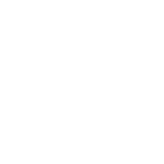 papris-mindvrebi-logo-white-transparent-1024